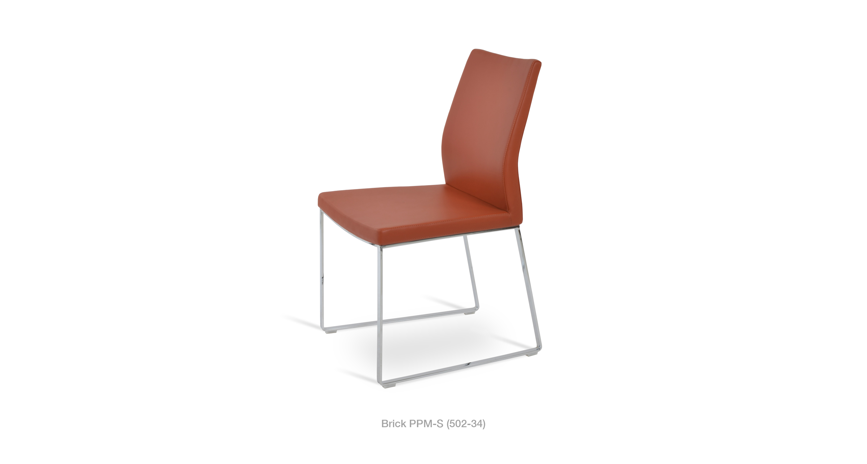 pasha_sled_brick_ppmsjpg