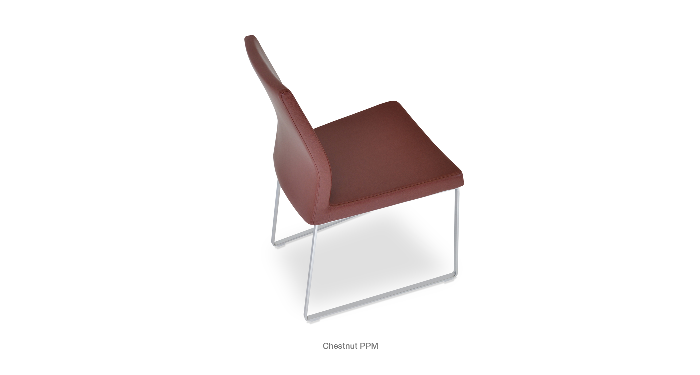 pasha_sled_chestnutjpg