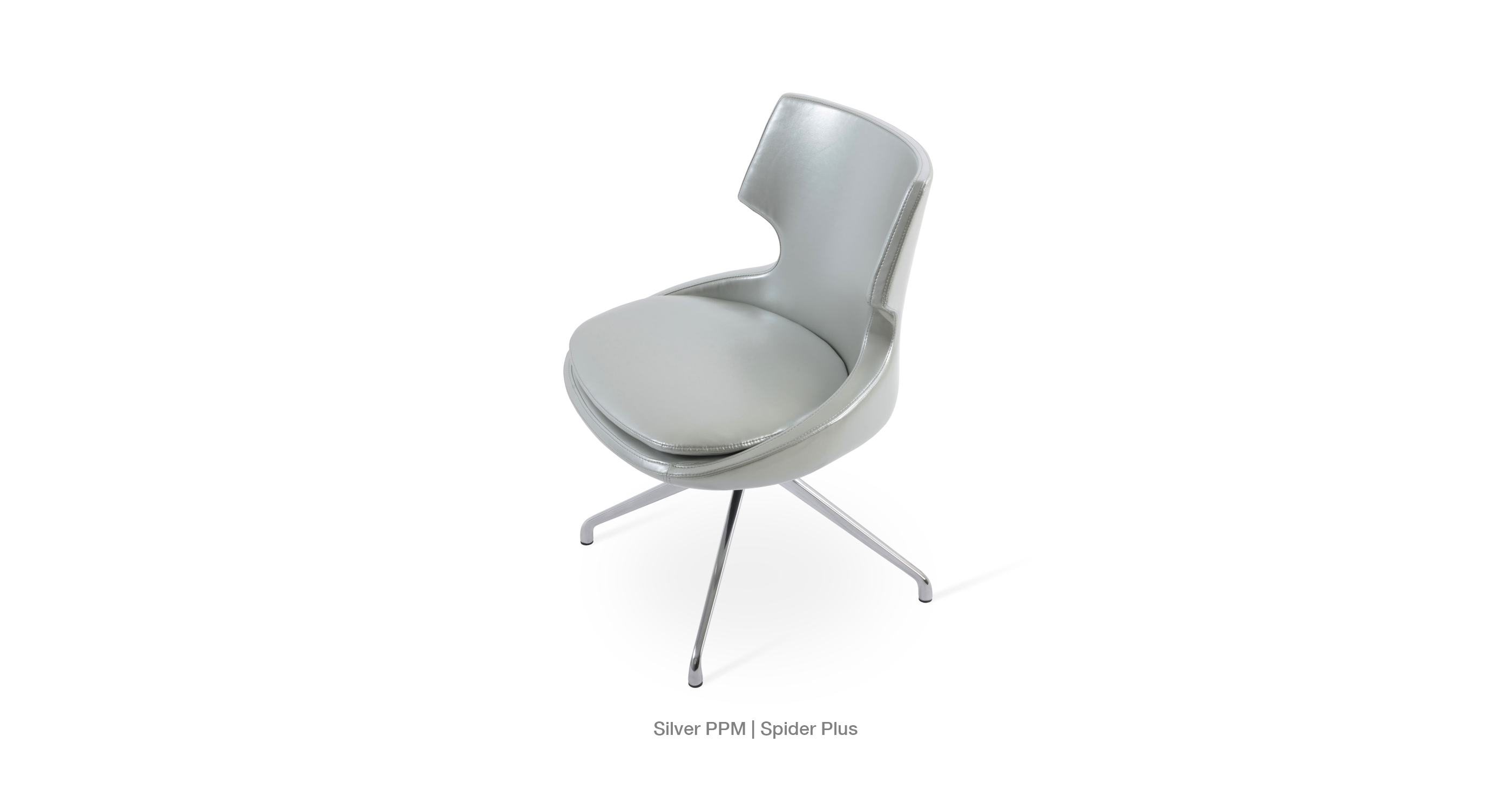 patara_spider_silver_ppmjpg