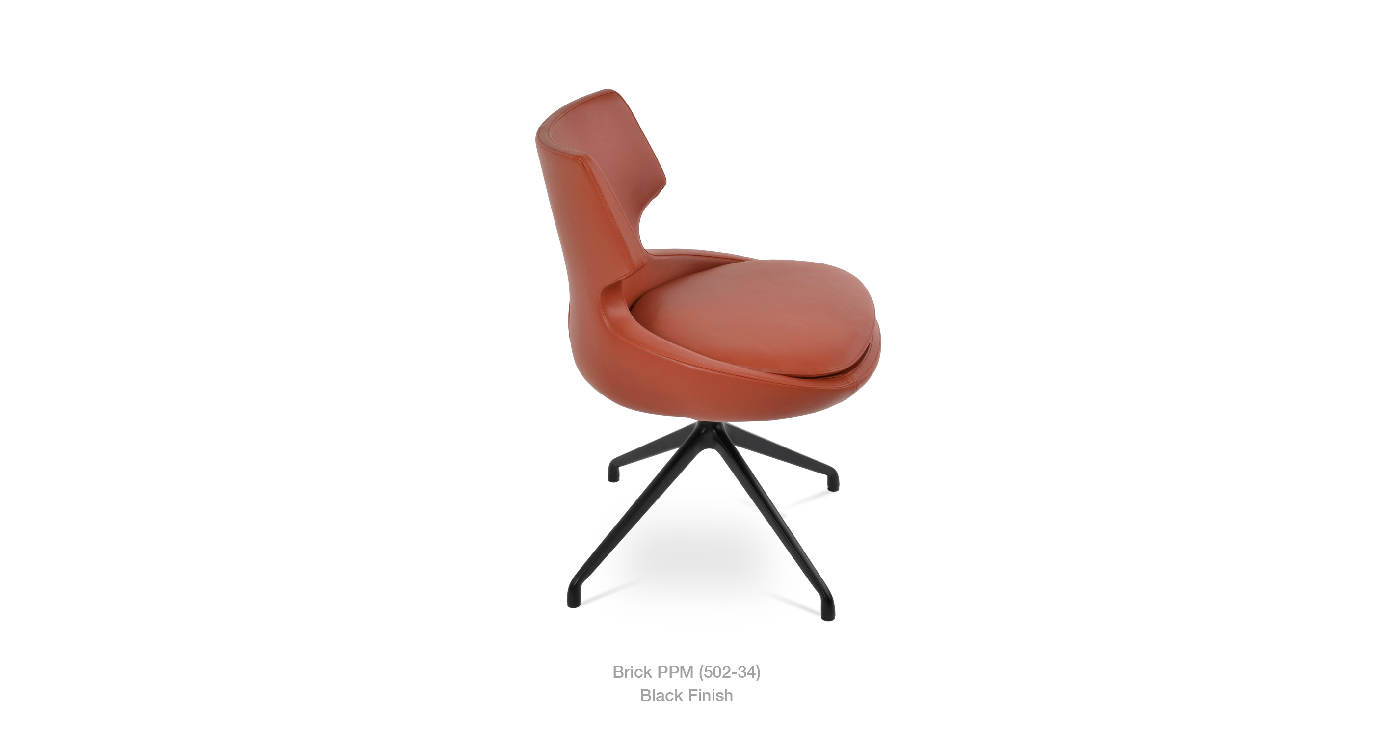 patara_spider_brick_ppm_blackjpg