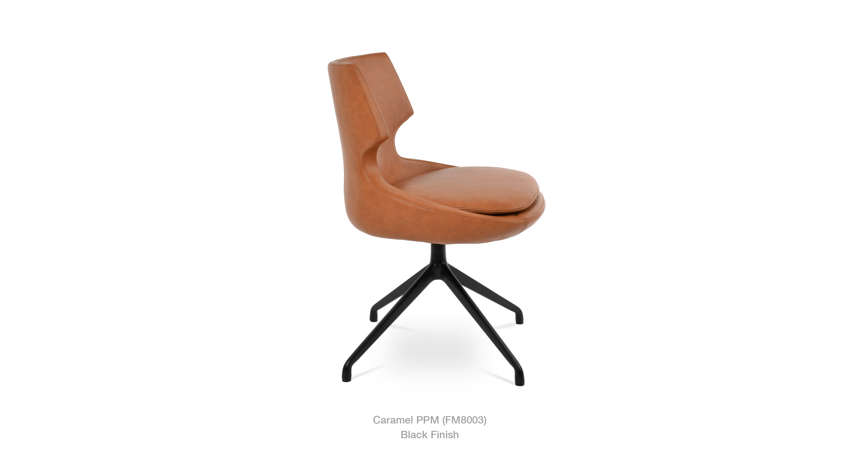 patara_spider_caramel_ppm_blackjpg