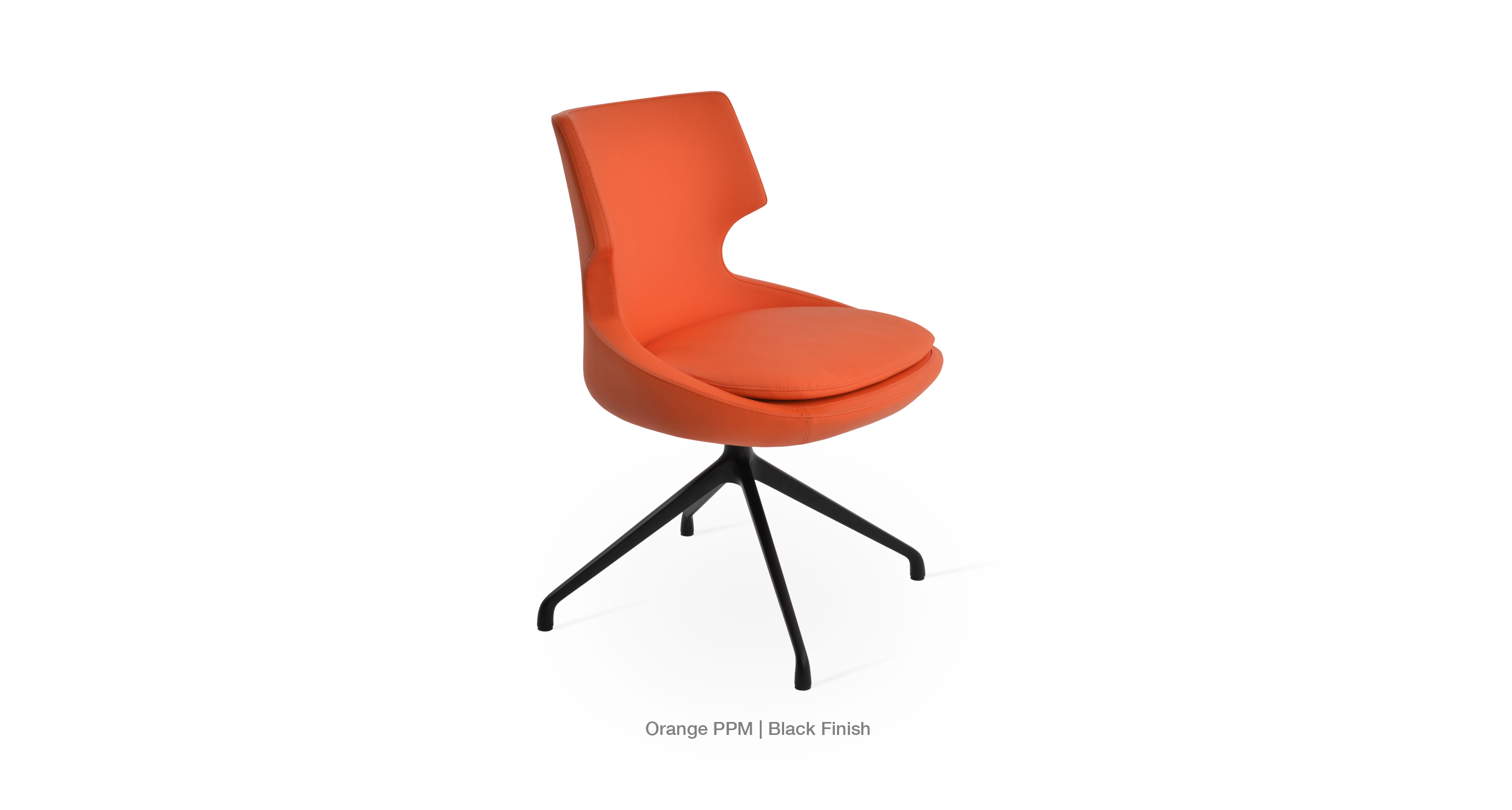patara_spider_orange_ppm_black_basejpg