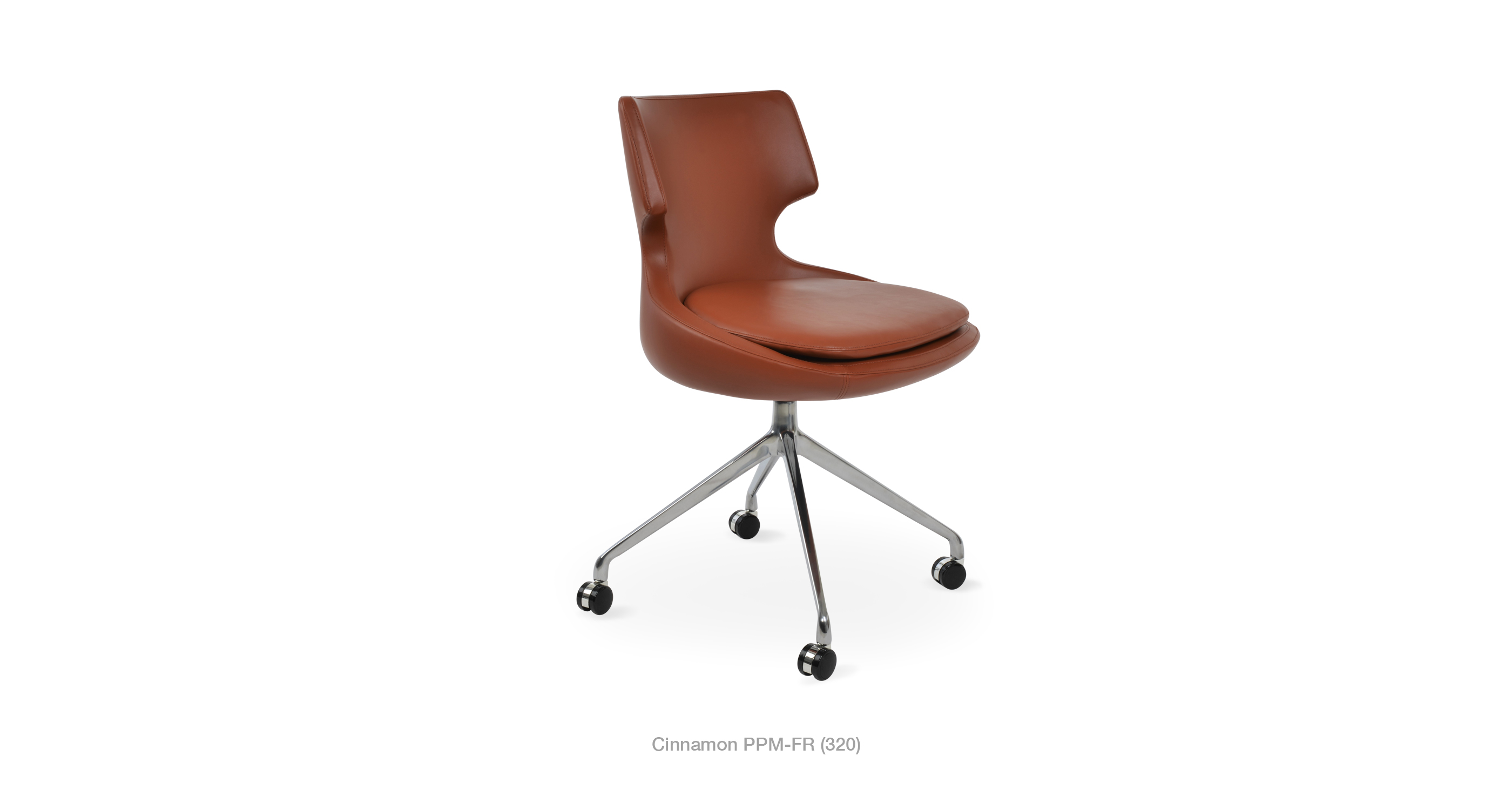 2020_01_03_patara_spider_cinnamon_ppmjpg