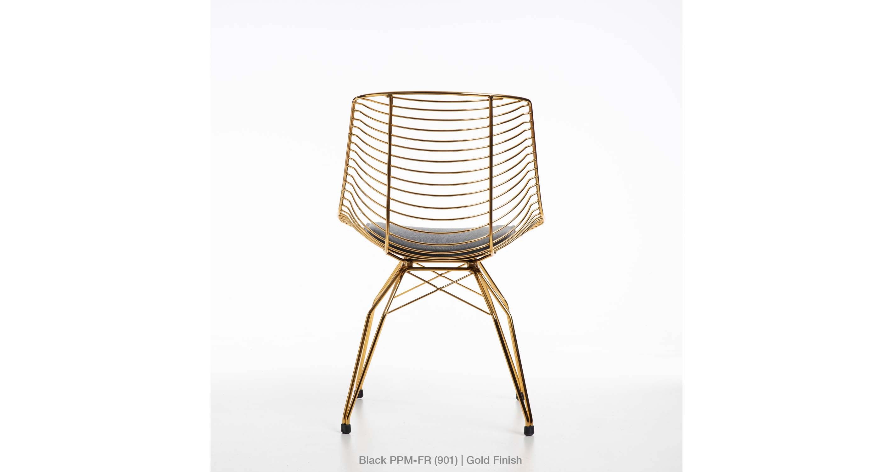 Tiger Dining Black Ppm GOLD