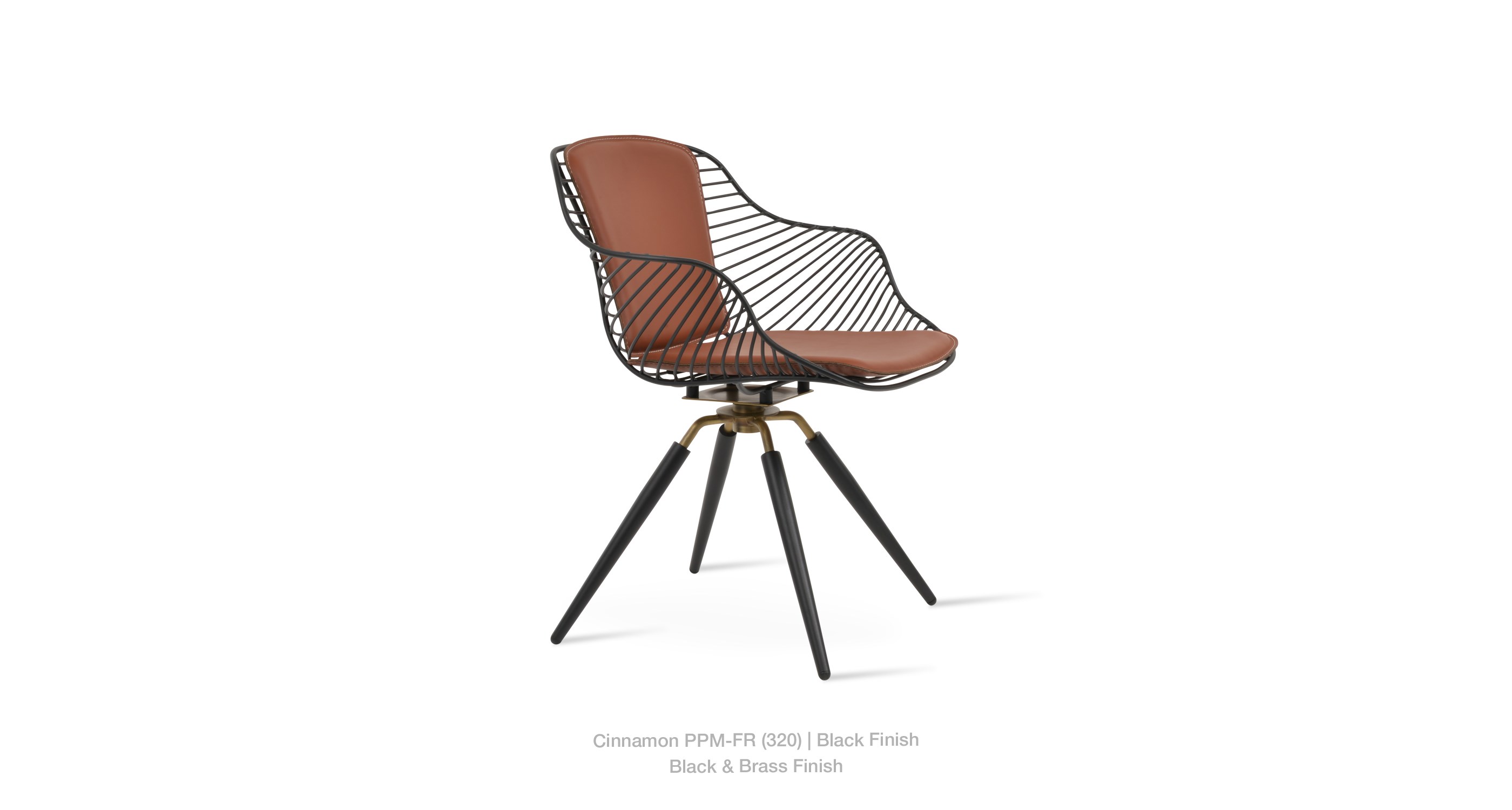 2022 07 07 Zebra Arm Cinnamon