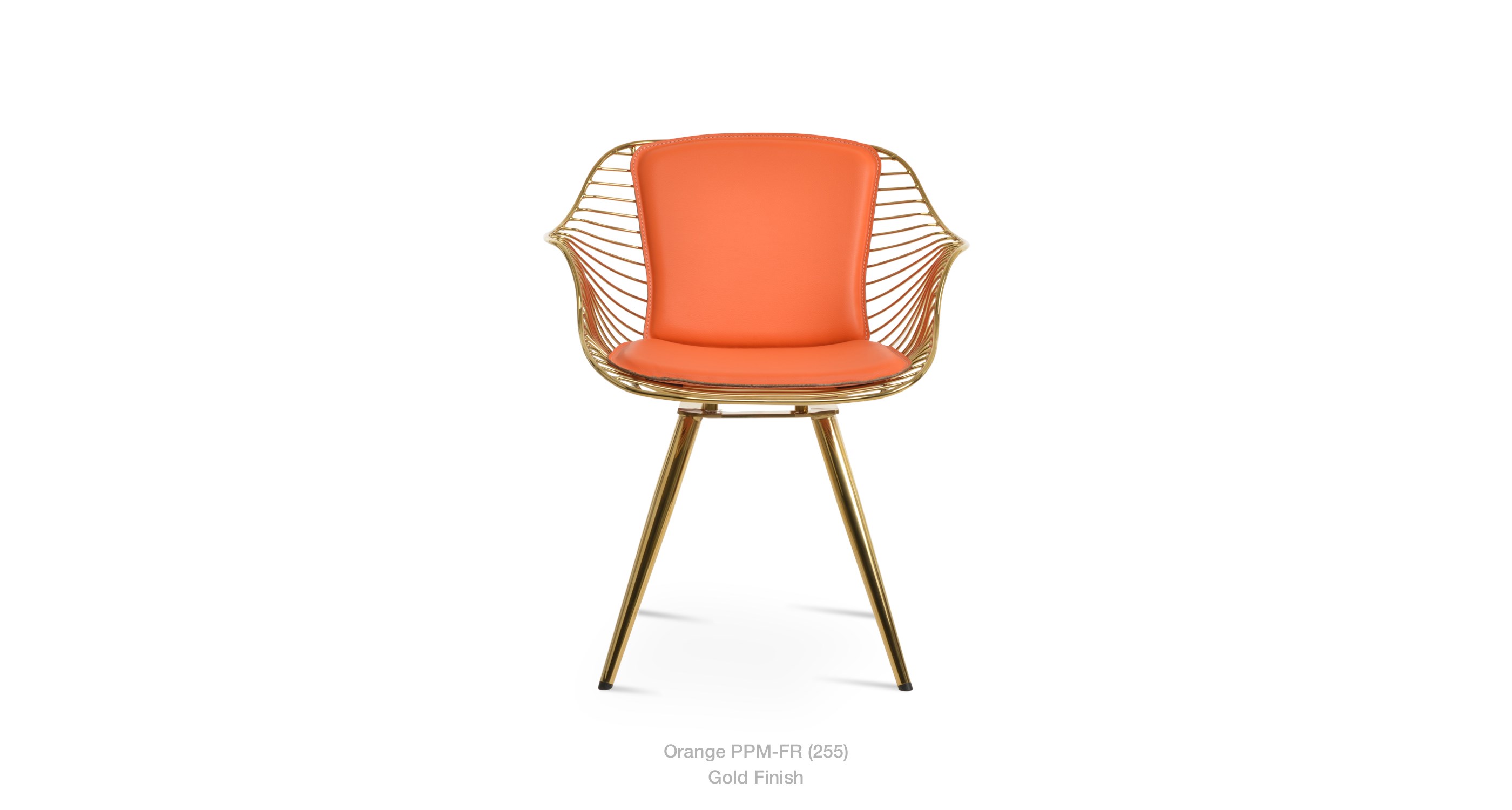 2022 09 25 Zebra Star Orange