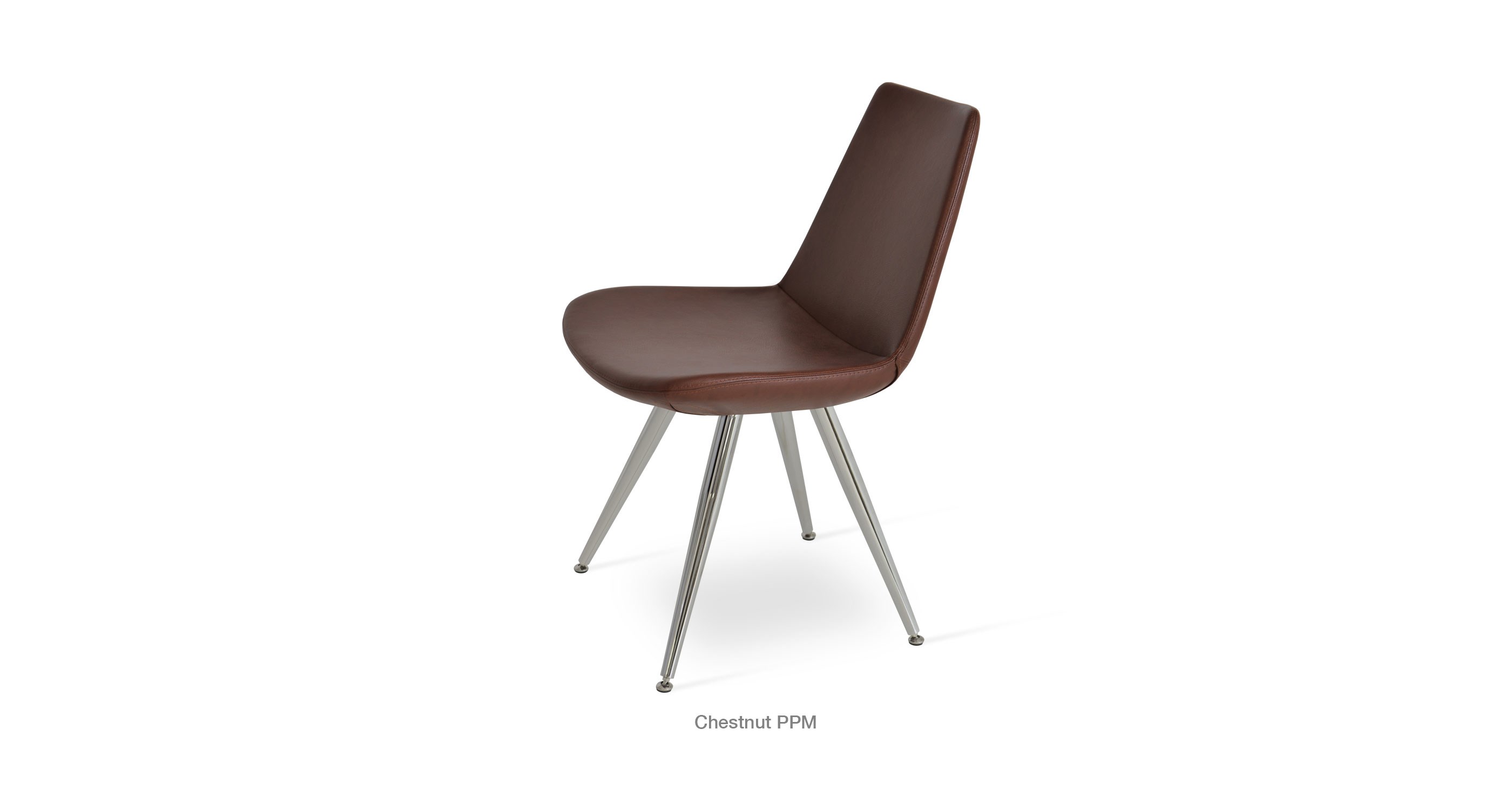 chestnut