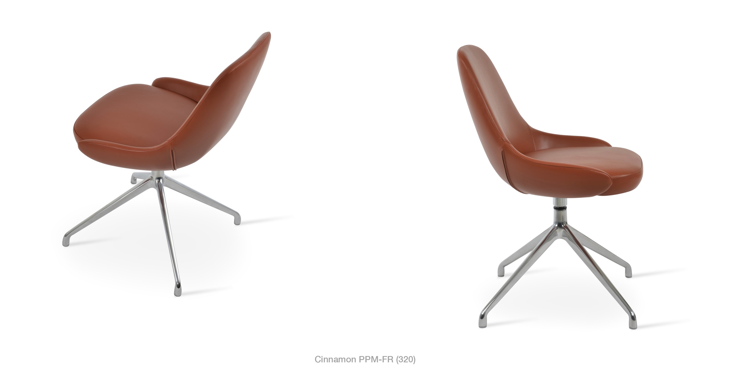 2020 01 21 Gazel Spider Cinnamon Ppm