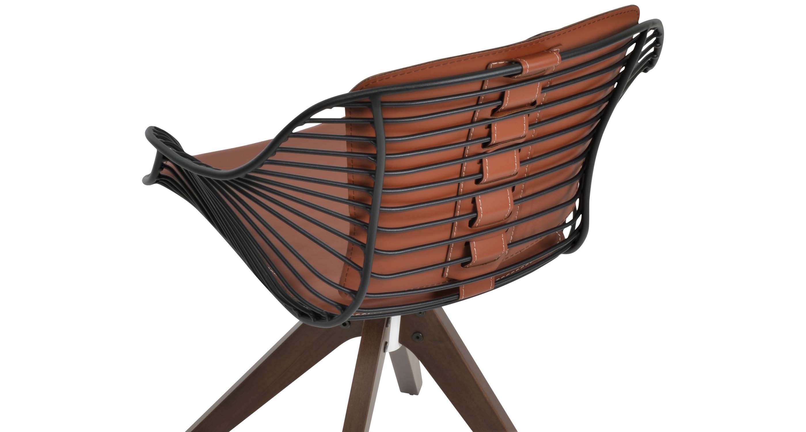 Zebra Black Cinnamon Close