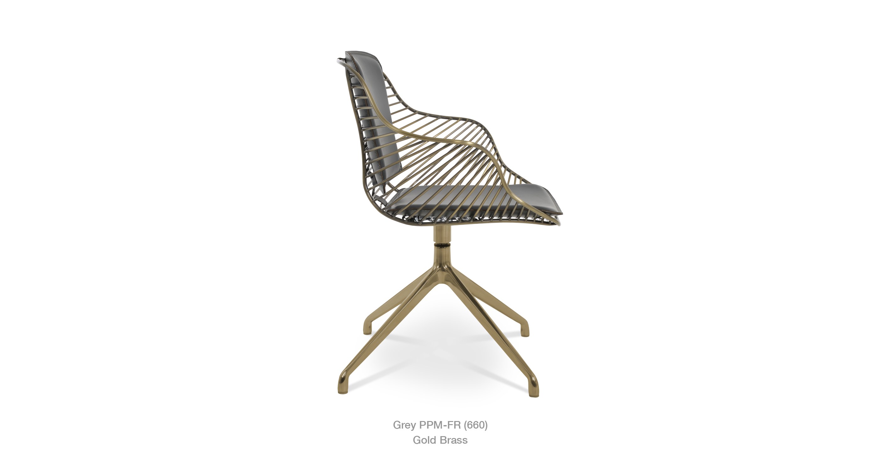 Zebra Grey Ppm Gold Brass