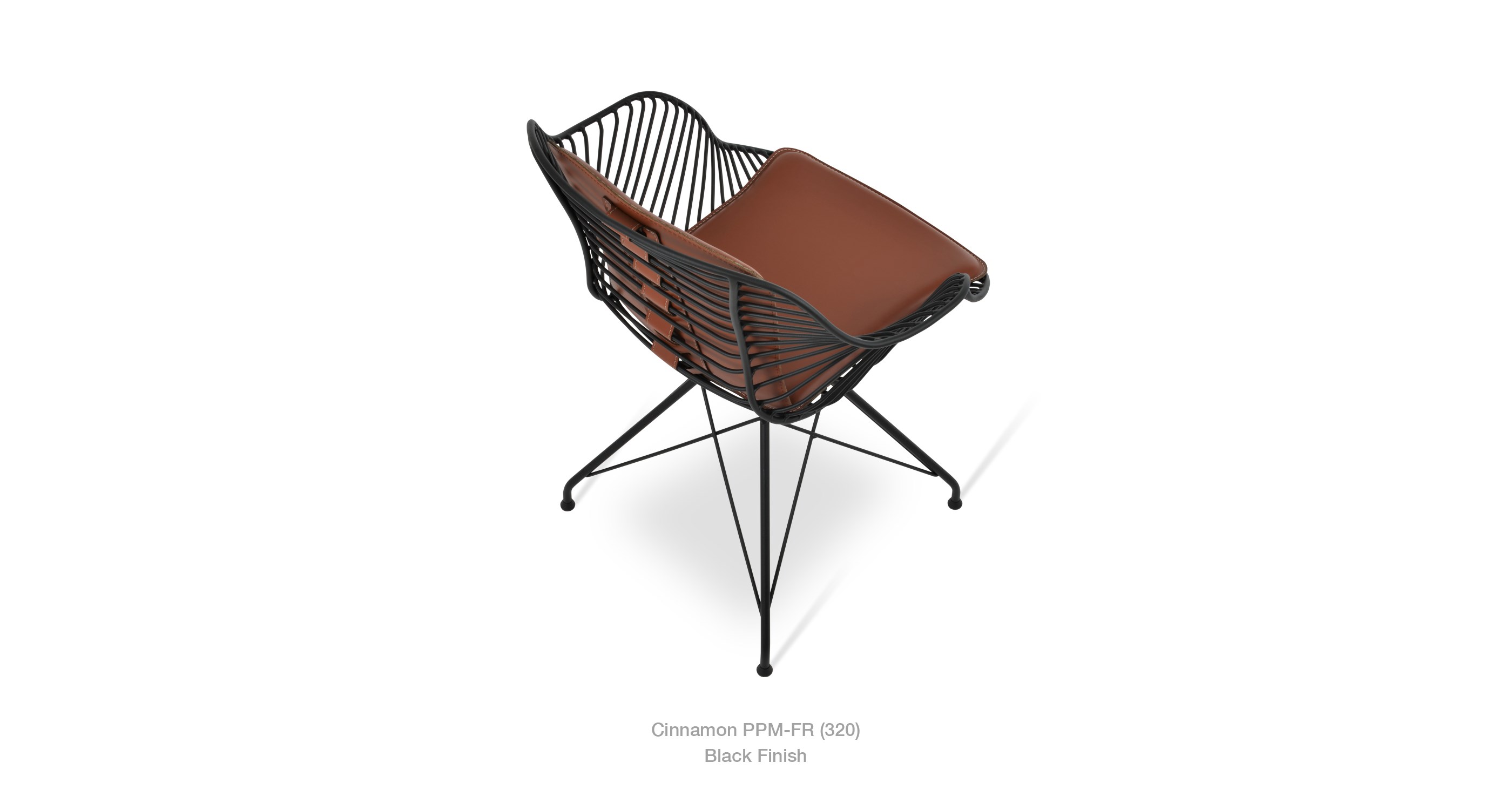 2019 12 30 Zebra Cinnamon Black Finish