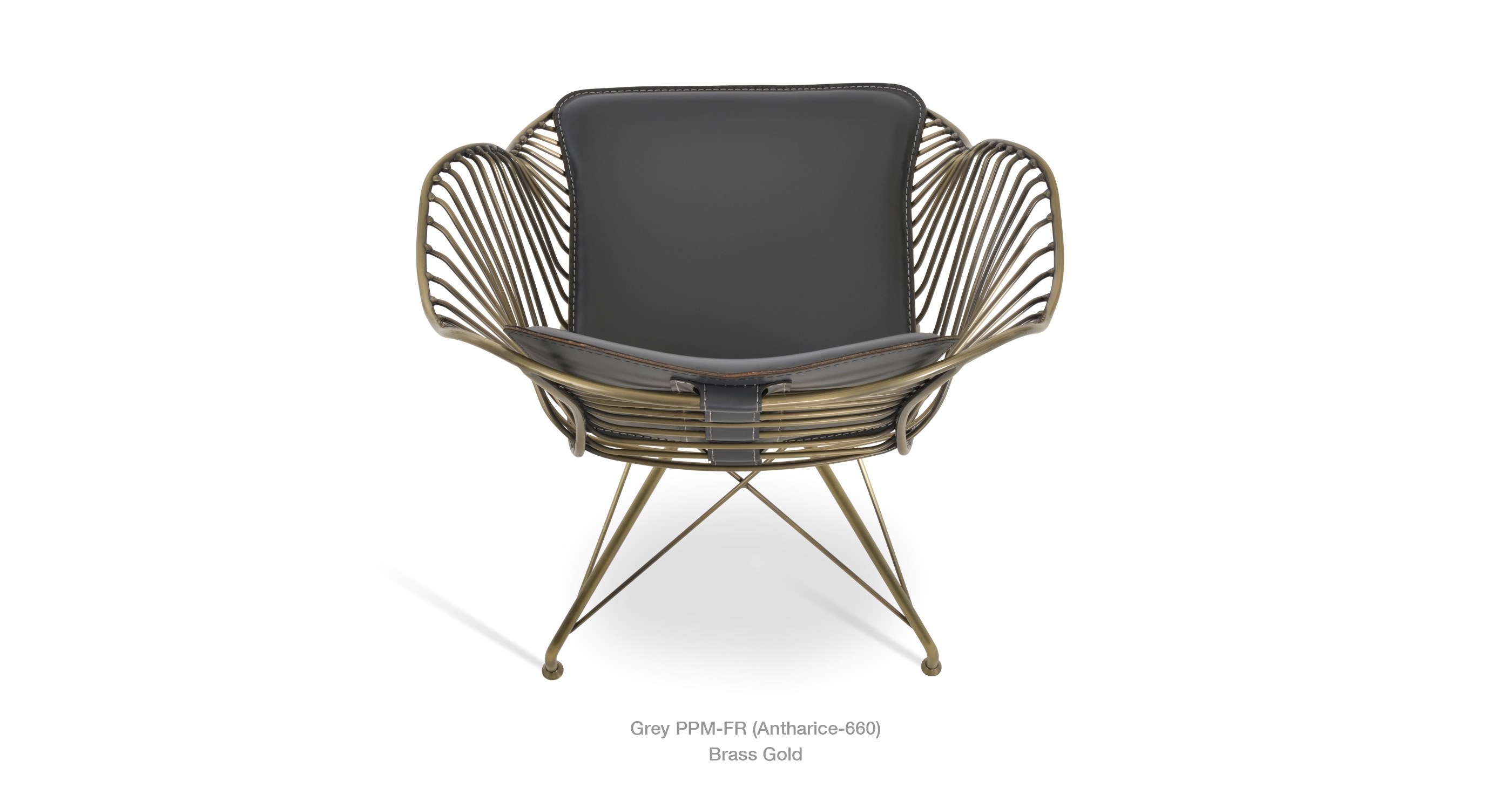 grey ppm