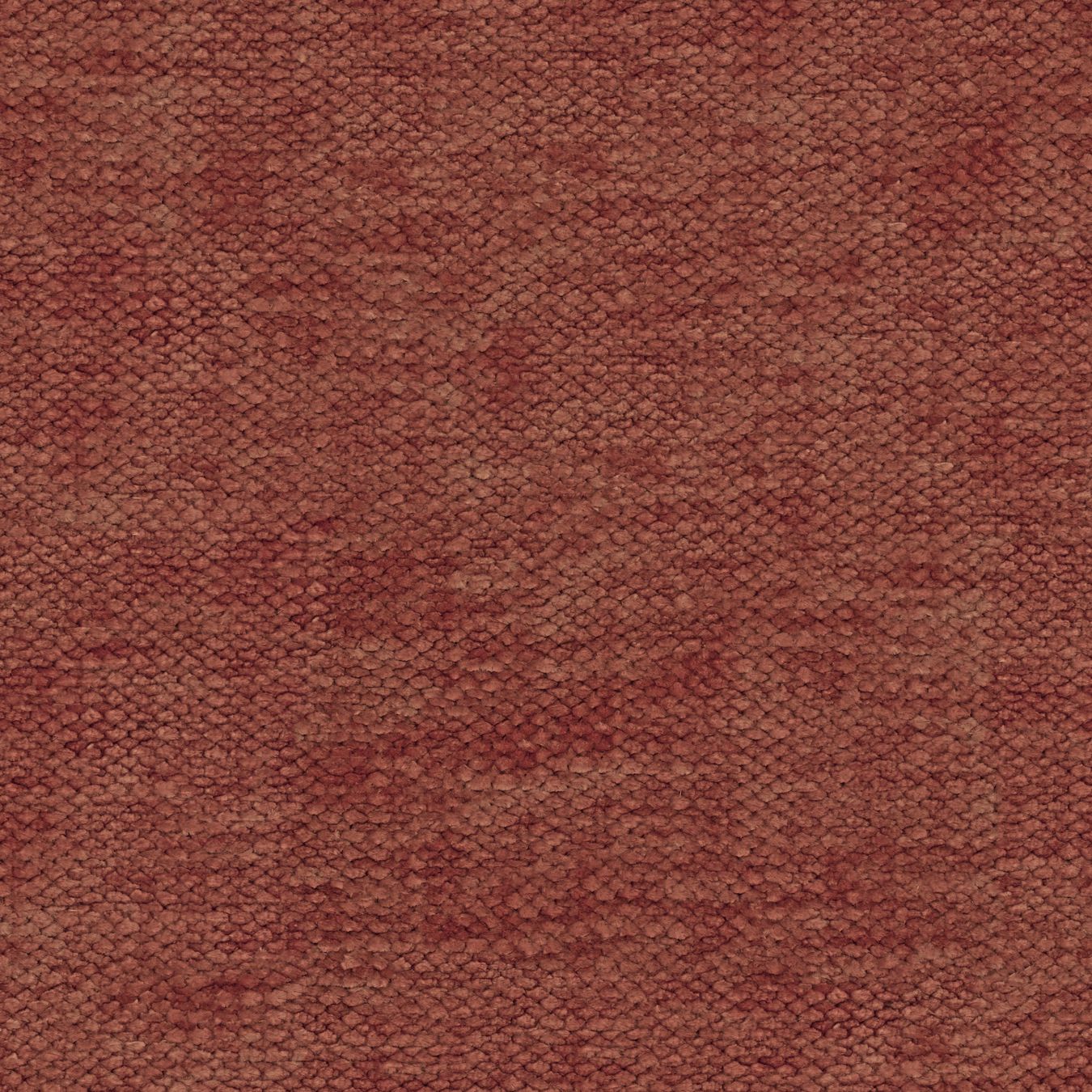 Bloom 648