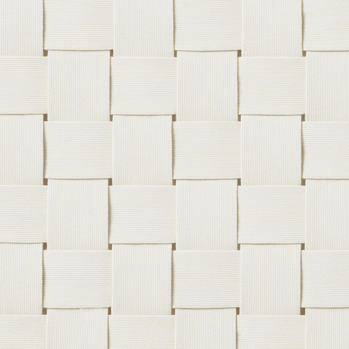 White Canvas