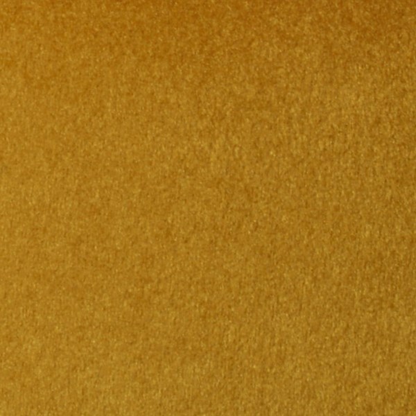 Tumeric Velvet