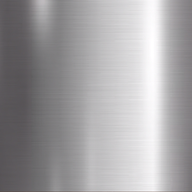 Stainless Steel (Polished)